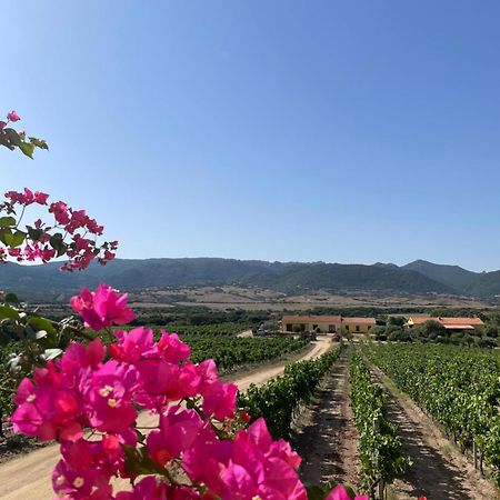 Agriturismo Campesi Casale Tra Le Vigne Aglientu Luaran gambar