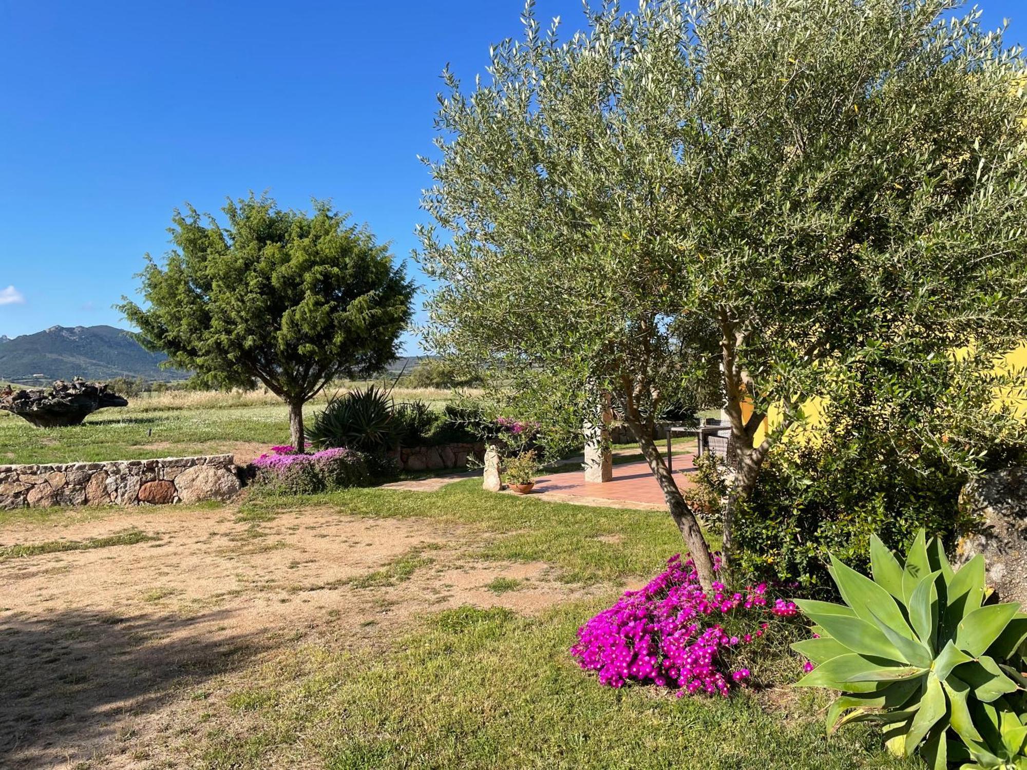 Agriturismo Campesi Casale Tra Le Vigne Aglientu Luaran gambar