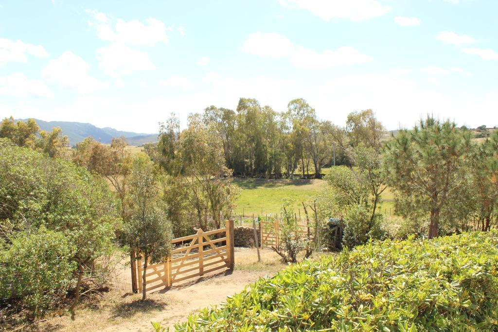 Agriturismo Campesi Casale Tra Le Vigne Aglientu Luaran gambar