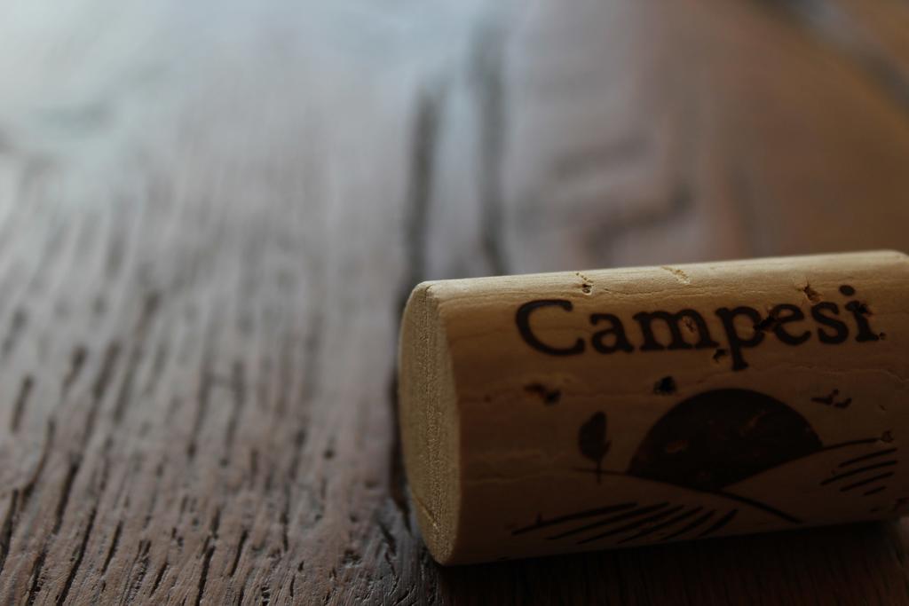 Agriturismo Campesi Casale Tra Le Vigne Aglientu Luaran gambar