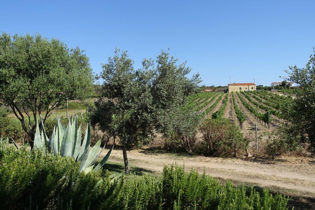 Agriturismo Campesi Casale Tra Le Vigne Aglientu Luaran gambar