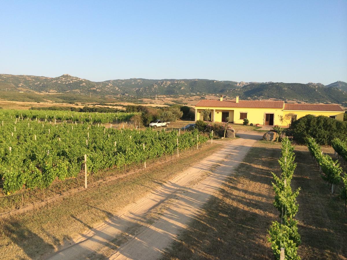 Agriturismo Campesi Casale Tra Le Vigne Aglientu Luaran gambar