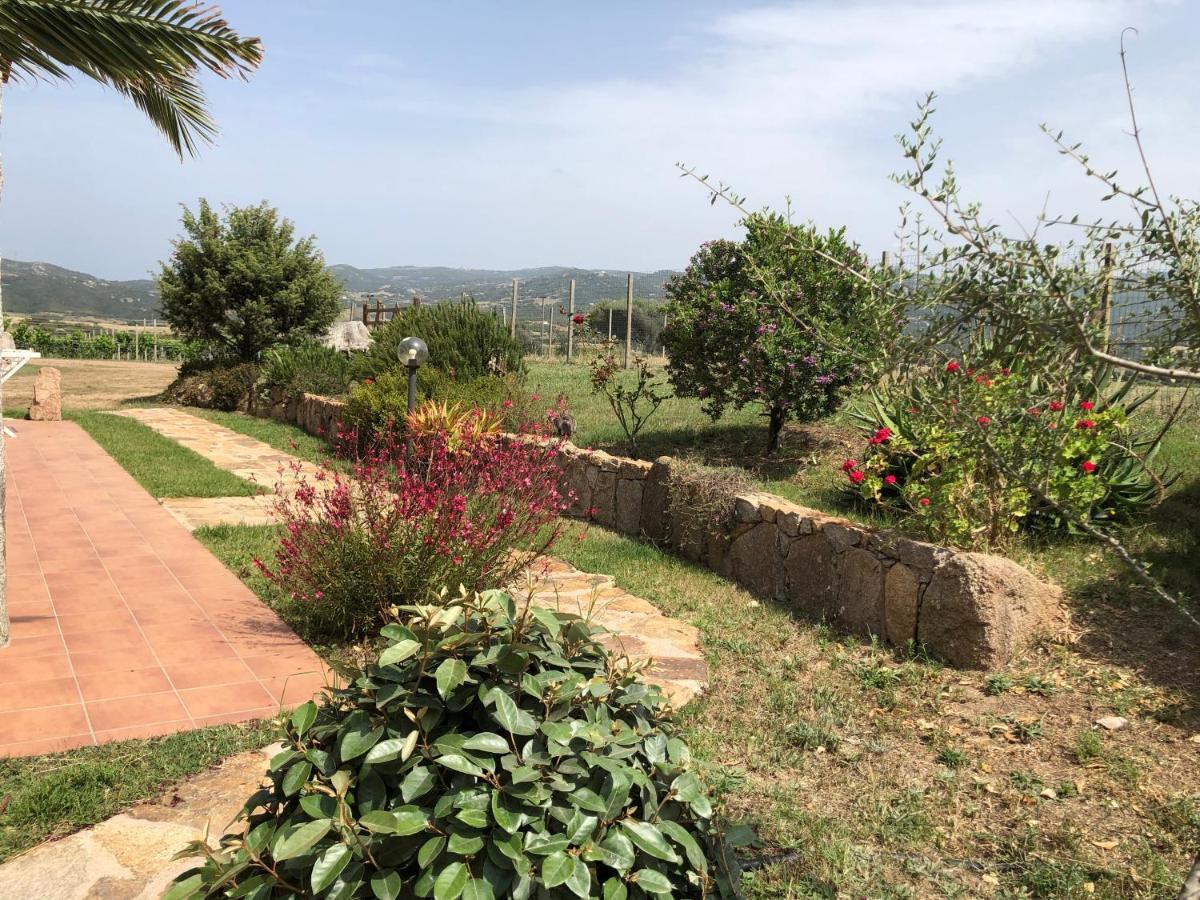 Agriturismo Campesi Casale Tra Le Vigne Aglientu Luaran gambar